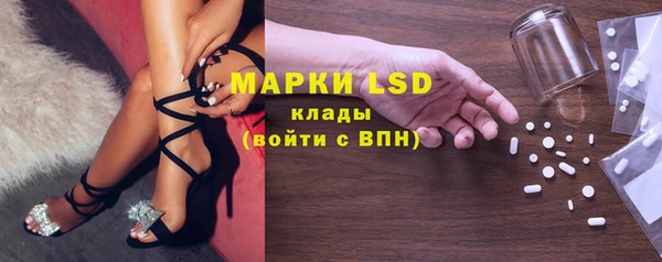 ПСИЛОЦИБИНОВЫЕ ГРИБЫ Переславль-Залесский