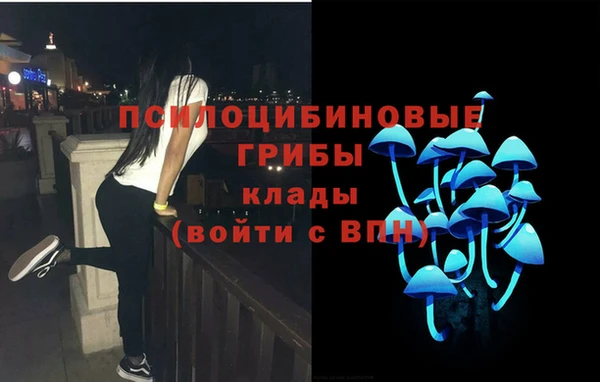 ALPHA PVP Остров