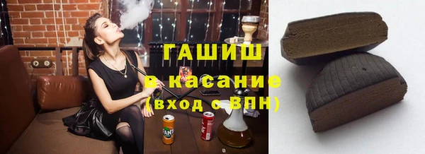 гашик Пересвет