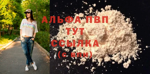 гашик Пересвет