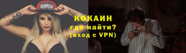 ПСИЛОЦИБИНОВЫЕ ГРИБЫ Переславль-Залесский
