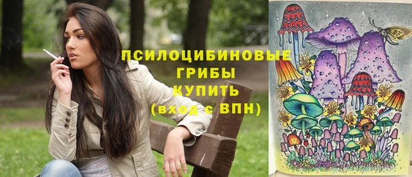 ПСИЛОЦИБИНОВЫЕ ГРИБЫ Переславль-Залесский