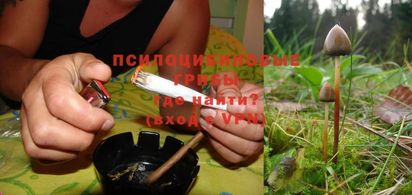 гашик Пересвет