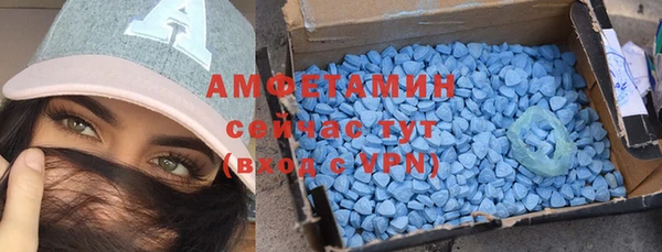 гашик Пересвет
