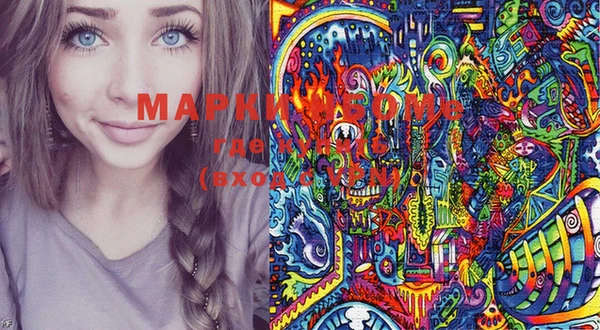 шишки Осташков