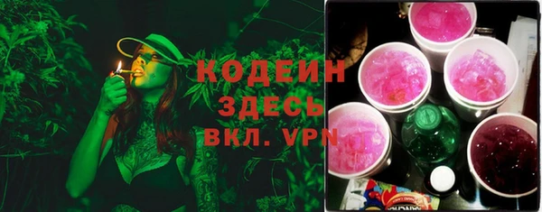гашик Пересвет