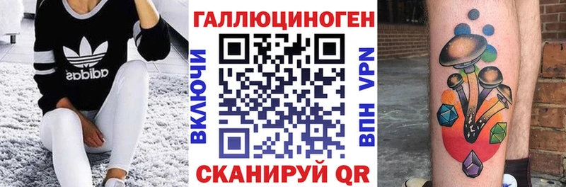 mega Курлово Псилоцибиновые грибы Cubensis