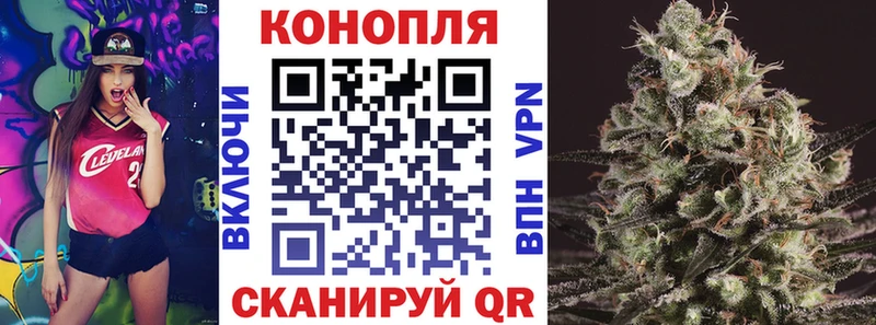 Канабис AK-47  где можно купить наркотик  Курлово 
